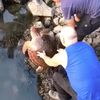 Video: Astonished Queens Fishermen Catch Sea Turtle In The East River